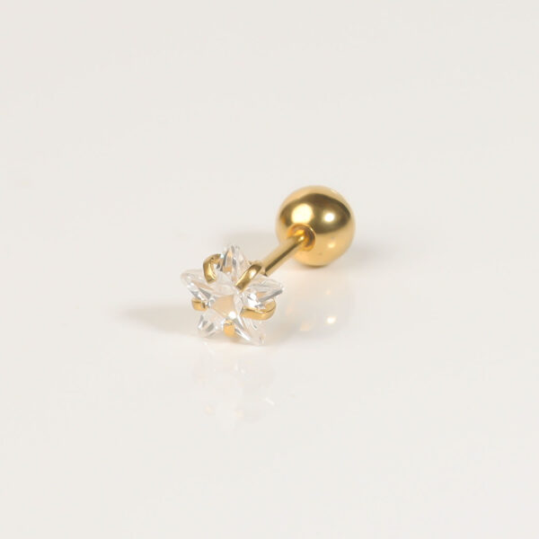 Piercing Star Z